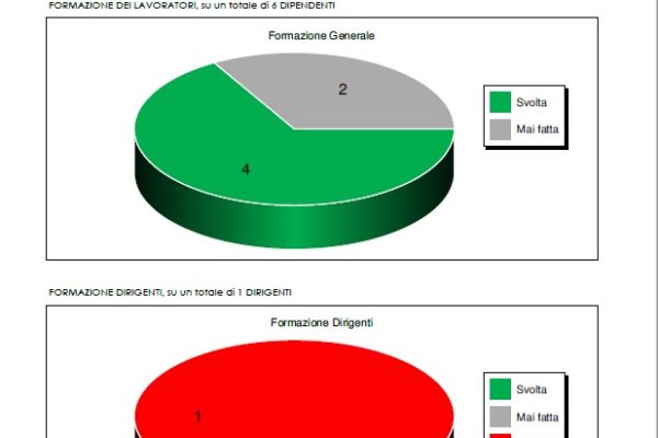 8-software-personalizzato-hse-goldnet-export-pdf