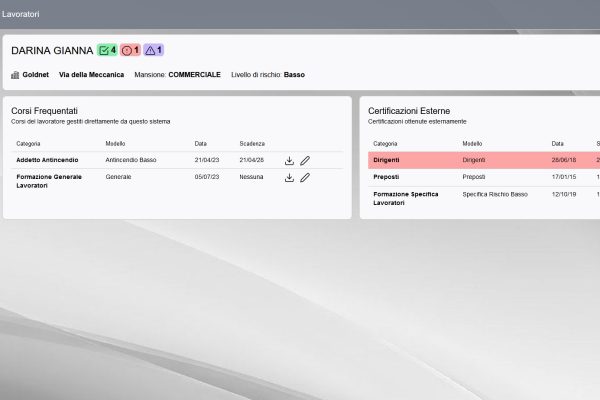 software-personalizzato-hse-goldnet-lavoratore